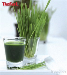 Wheat Grass Recipe 小麥草汁食谱