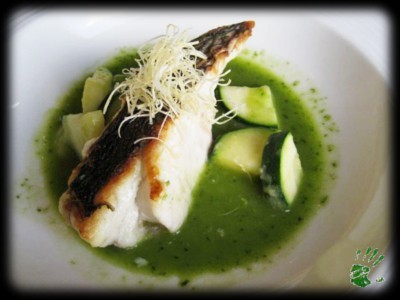 Slow Cooked Mulloway Seabass with Basil Pistou