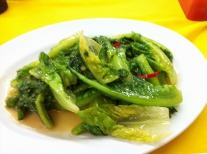 Can Taofu cook Vege