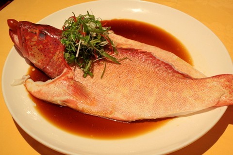 Steamed Red Garoupa with Light Soy Sauce