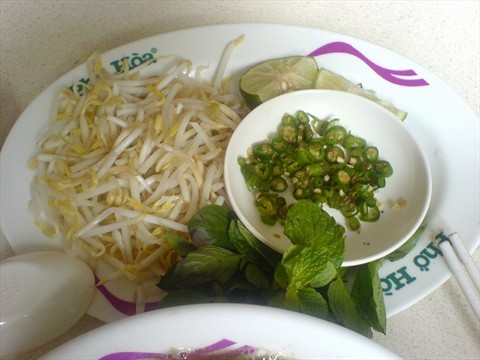 Beansprouts & Basil Leaves