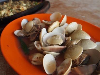 Steam clams