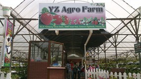 YZ Agro Farm & Café