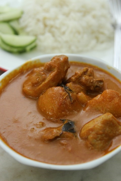 Indian style curry chicken