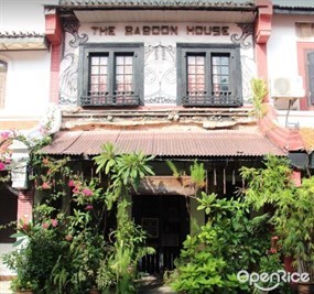 The Baboon House