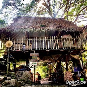 Rainforest Treehouse Café